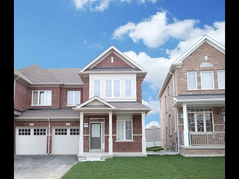 14 Borrelli Drive, Brampton, Team Alliance Realty