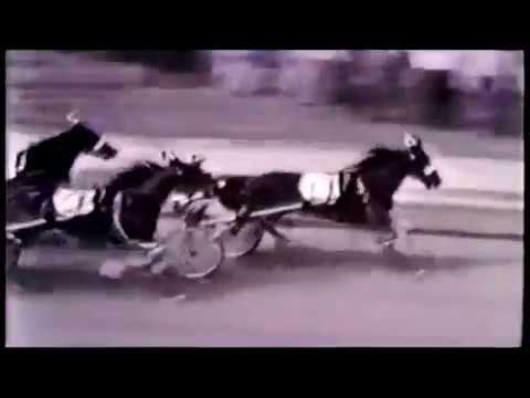 1955 Delaware County Fair QUICK CHIEF Little Brown Jug 1st Elim Bill Haughton