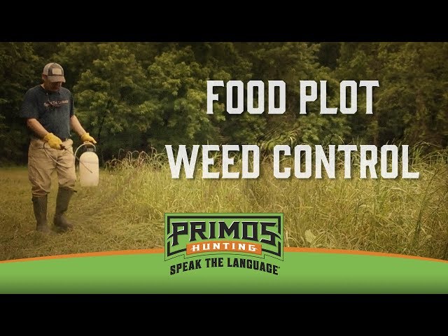Food Plot Weed Control