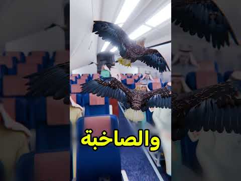 السعوديين دايما يغطوا عيون صقورهم فالطيارة 🐦 #shortvideos