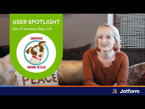 How a Rescue Uses JotForm to Find New Homes for Dogs