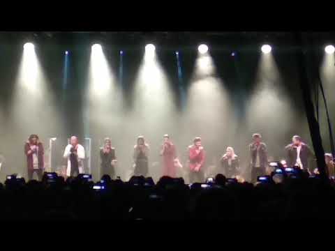 Accantus Live 2.0 Lion King