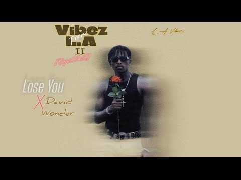 L.A Vibez and David Wonder TV