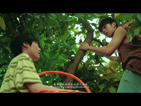 Secrets happened on the litchi island ep 1  2025(eng sub). #chinesebldrama #blseries