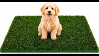 Averbro Artificial Grass Mat | Professional Dog Grass, Potty Training Rug, Replacement Turf