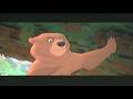 Coming Attractions Vol 5 Over Three Hours Of Home Media Previews