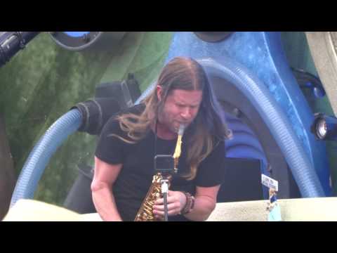 Tomorrowland 2017 - Michael Feiner