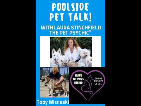 Are you talking with animals too?  All about Laura's life, Animal Communication & signs from Spirit