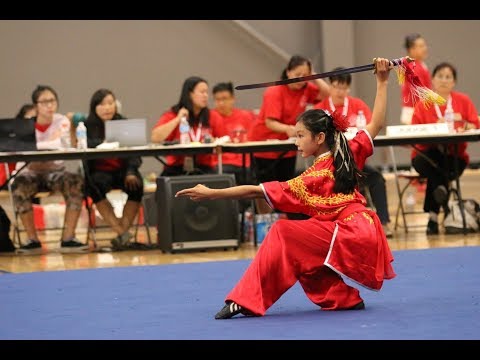 National Wushu Taolu Championship 2016 China Li Jianfang 2nd Place