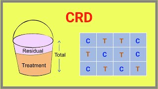 What is a completely randomised design (CRD) [Clearly Explained] | Experimental Design