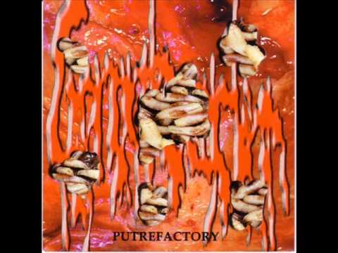 Gonorrhoeaction  - Disgusting Stench Of Dripping Outflow