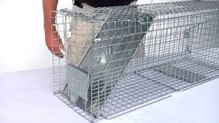 How to Set: Havahart® Feral Cat Trap Model #1099