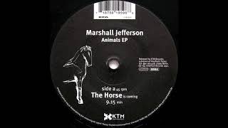 Marshall Jefferson ‎– The Horse (Is Coming)