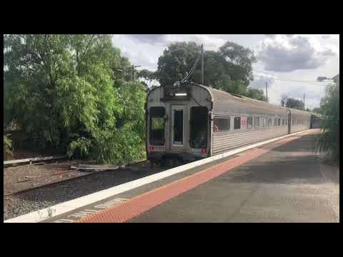 Chumrail 42103 & Southern Shorthaul Railroad GM10 At Seymour loop and station.