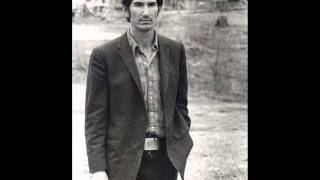 Diane Craig - &quot;Ghost of Townes Van Zandt&quot;