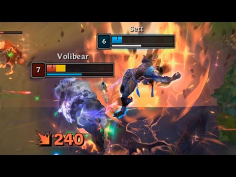 SETT vs VOLIBEAR