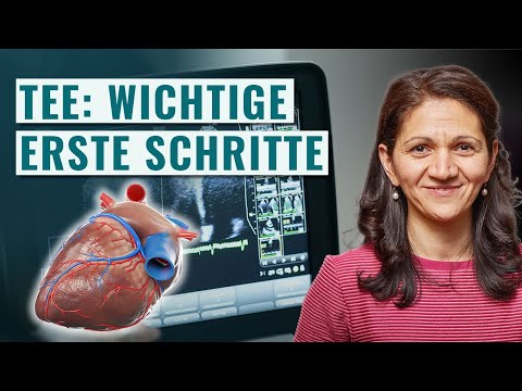 Das musst du im TEE als erstes lernen: Strukturiertes Vorgehen bei klassischer Indikation