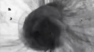 Download lagu Gillla ✓Dj Vape tingkat dewa vape terhebat ..... mp3