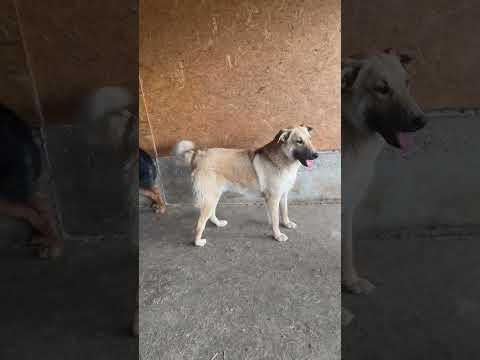 Bosk 2 05/2025 - Hope for Future e.V.