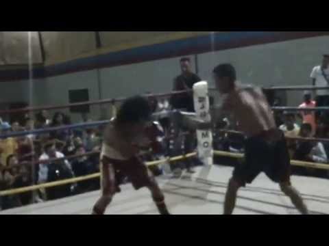 Boxeo Jose Luis Graterol Vs Maravilla