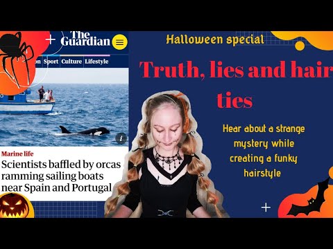 Why are orcas attacking boats near Spain! odd killer whale behaviour and a Halloween hair idea