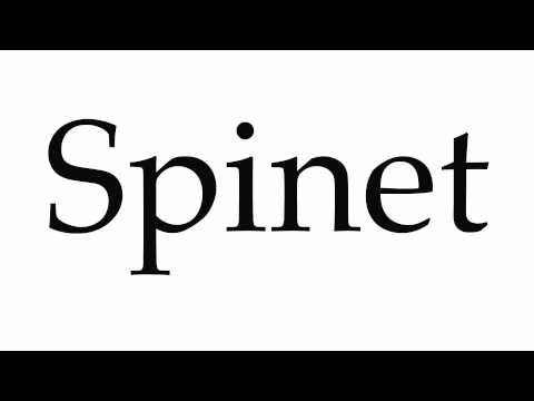How to Pronounce Spinet