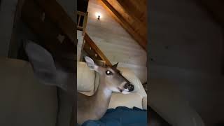 Download lagu Mmh mmh mmh mmmmmmhh mp3