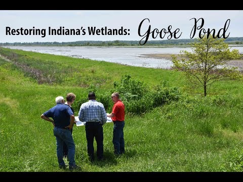Indiana NRCS Restoration of Goose Pond