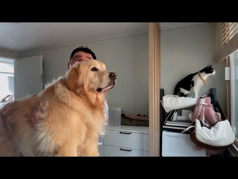 강아지랑 고양이가 갑자기 이렇게 진지해진 이유ㅋㅋㅋ