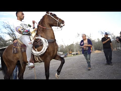 Cobyjdn - Murder Music (Official Video) | Dir. World Paz