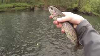 preview picture of video 'GoPro Fly Fishing on the Little Red'