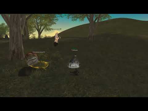 L2 REBORN "NotPressure PATH"