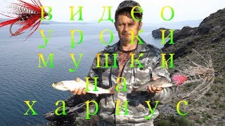 Мушки для ловли омуля на байкале летом