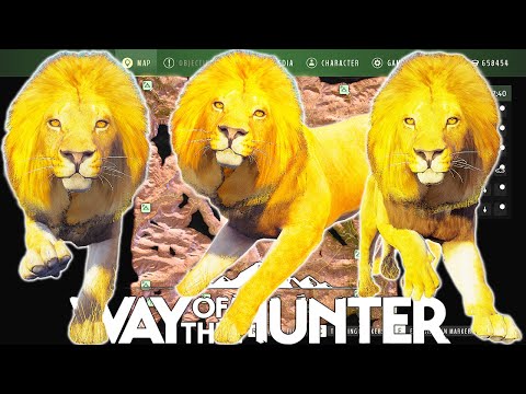 I Hunt Every Lion Herd on Tikamoon Plains | Way of the Hunter