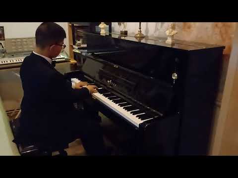 Arhip Andrei-Dumitru  -  13 ani