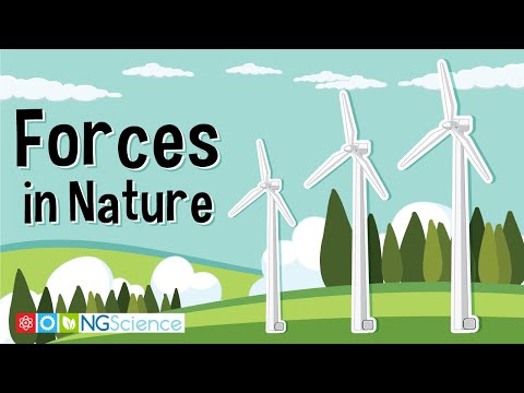 Forces in Nature