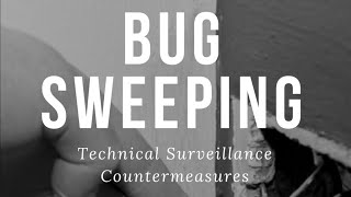 Bug Sweeping Services