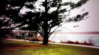 killed by killers who kill each other & glassing - planes mistaken for stars