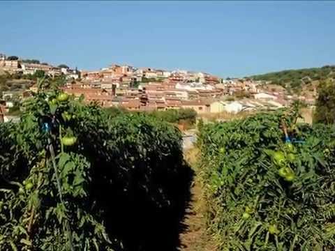 Las fotos de Luis José González Hernández ok