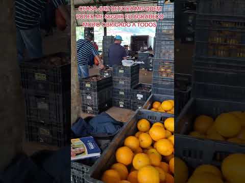 CEASA JUIZ DE FORA MG LAVOURA  LARANJA CIDADE ANDRELANDIA MG