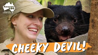 Hanging With the Devils | Take a Look Inside