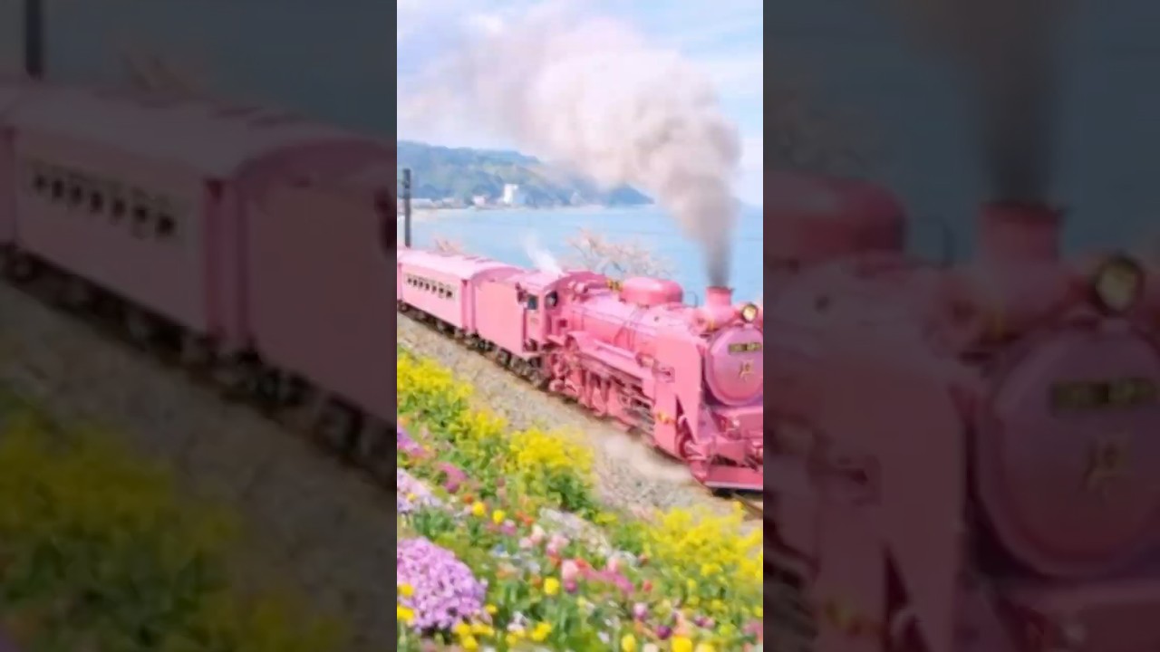 赤いスイートピー