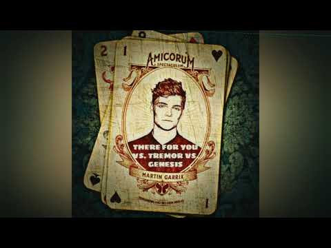 Download: There For You VS. Tremor VS. Genesis (Martin Garrix Mashup Tomorrowland 2017) Edit.