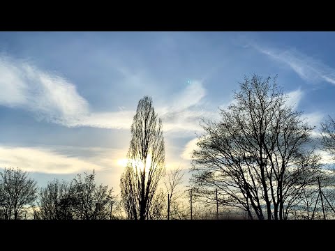 20. Januar 2021. In unserem Park! Ein Blick in den Himmel! Bleibt gesund!