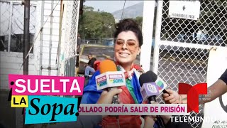 ¿Juan Collado podría salir de prisión y Yadhira Carrillo no está enterada? | Suelta La Sopa ¿Juan Collado podría salir de prisión y Yadhira Carrillo no está enterada? | Suelta La Sopa