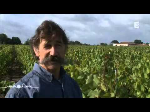 Jo Landron, vigneron du Pays nantais