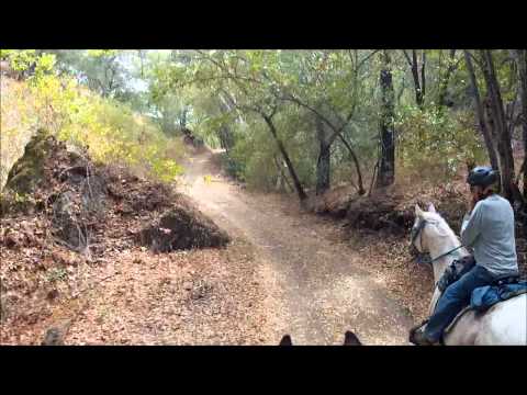 Calero County Park 1