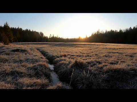 Meditation 4K Frosty Sunrise