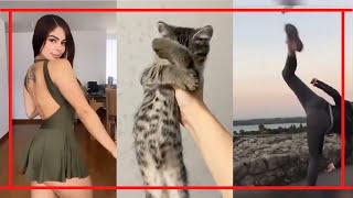 VDEOS ENGRAADOS OS MELHORES DOS APPS DIVERTIDANET - #009