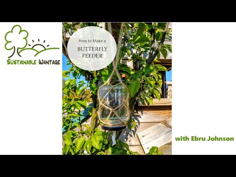 Jam Jar Butterfly Feeder: Get Crafty with Sustainable Wantage!